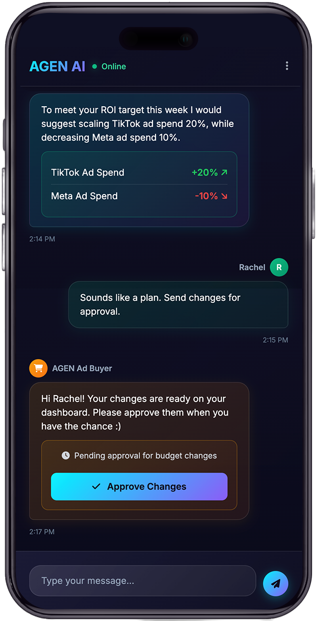 Marketing audit chat conversation on mobile
